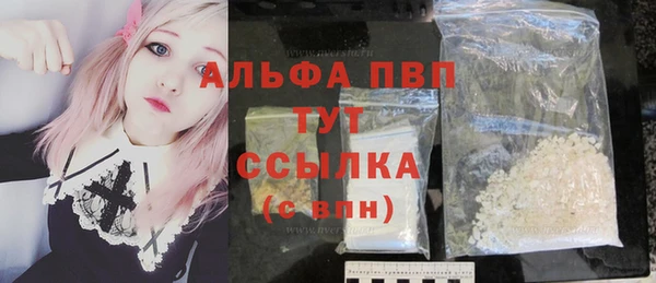 ГАЛЛЮЦИНОГЕННЫЕ ГРИБЫ Корсаков