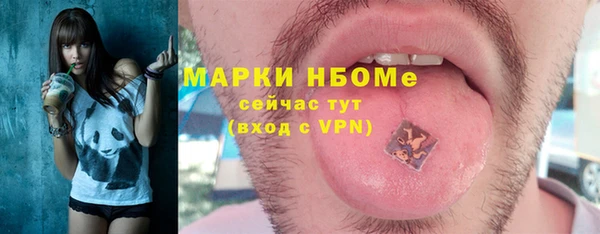 амф Коряжма