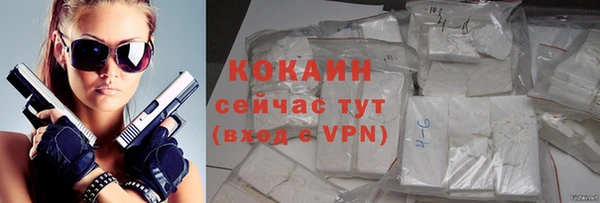 ГАЛЛЮЦИНОГЕННЫЕ ГРИБЫ Корсаков