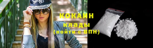 амф Коряжма