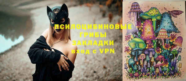 амф Коряжма