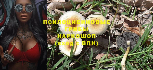 ГАЛЛЮЦИНОГЕННЫЕ ГРИБЫ Корсаков