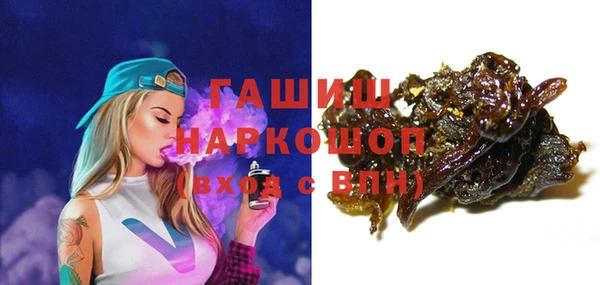 амф Коряжма